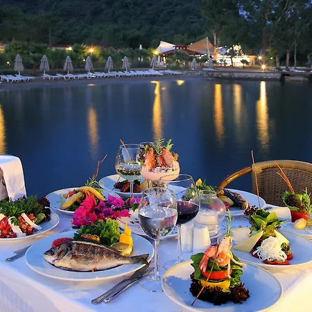 Hotel & 5*