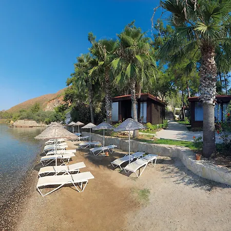 & 5* Marmaris